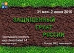 Заголовок материалов